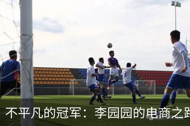 不平凡的冠军：李园园的电商之路与追梦历程