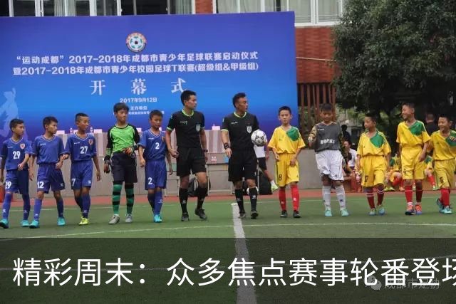精彩周末：众多焦点赛事轮番登场